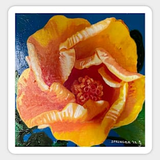 Orange-Yellow Chinese Hibiscus Sticker